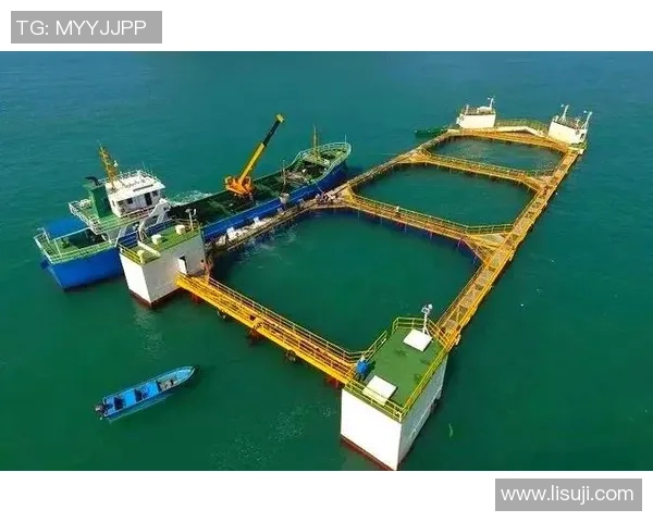 杭州网球队的转型升级之路：从传统到创新的全面革新探索